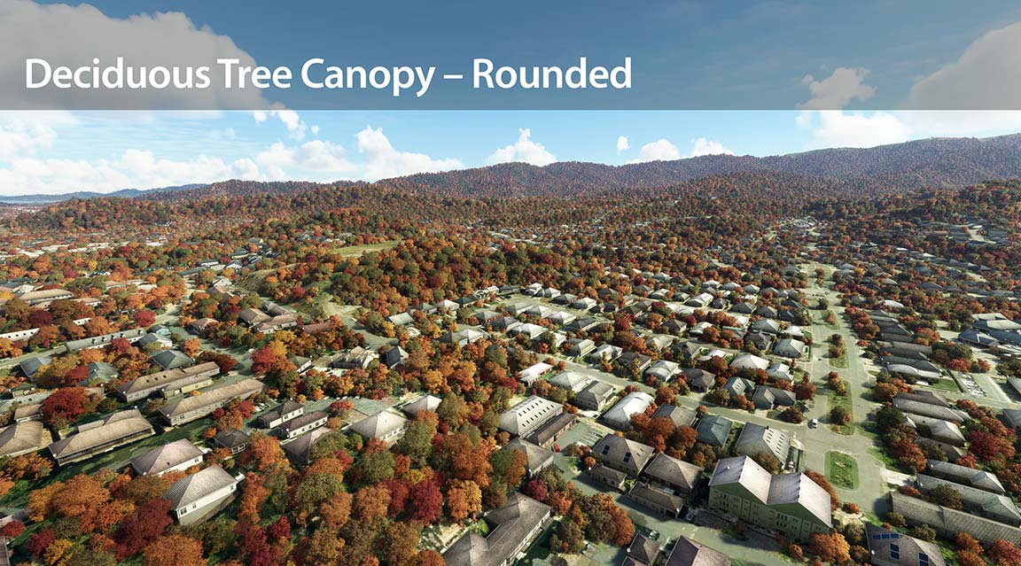 Overhead shot of roundabout surrounded by deciduous trees.
