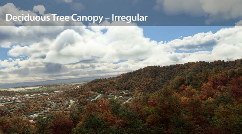 City skyline with lush trees and a majestic mountain in the distance.
