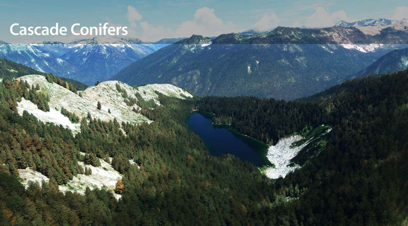 Scenic mountain lake nestled among lush trees and towering peaks.