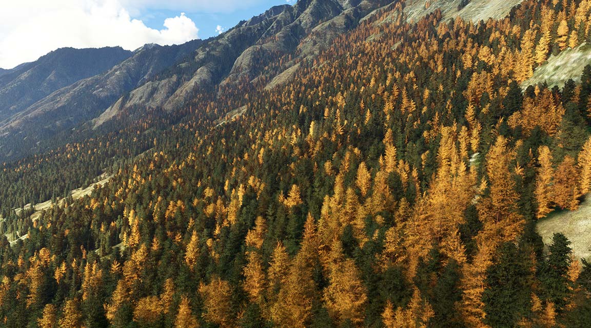 Mountain range with yellow trees in autumn.