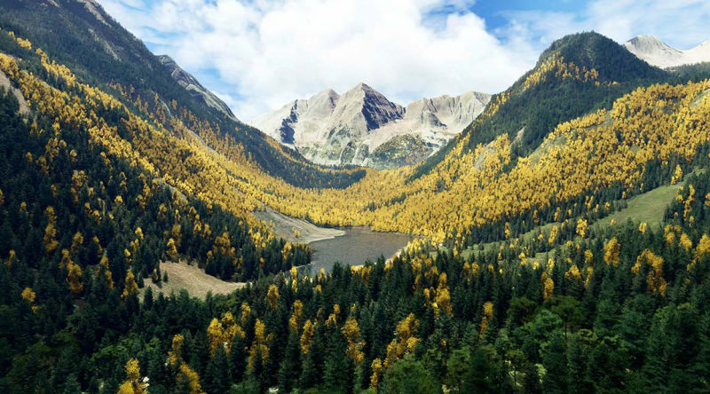 Scenic mountain range with trees and water in foreground, showcasing nature's beauty.