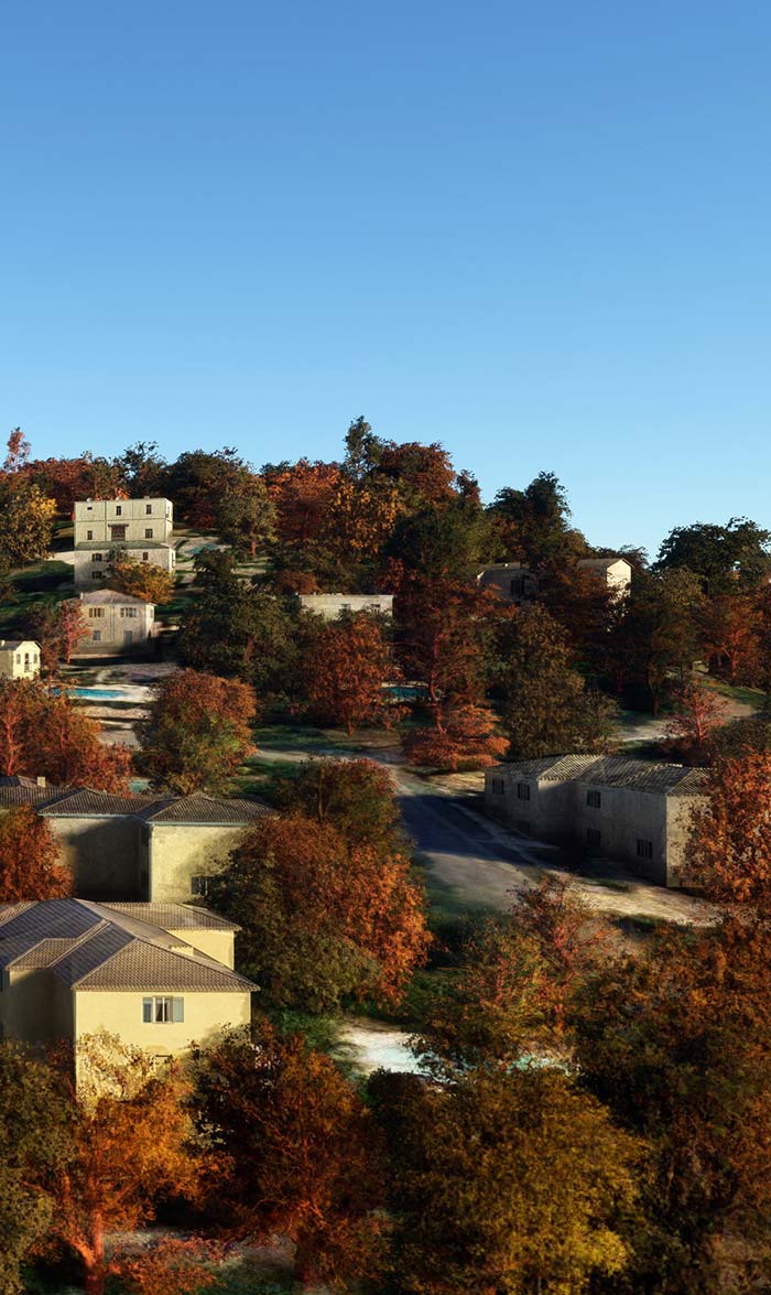 Medium tree selection.