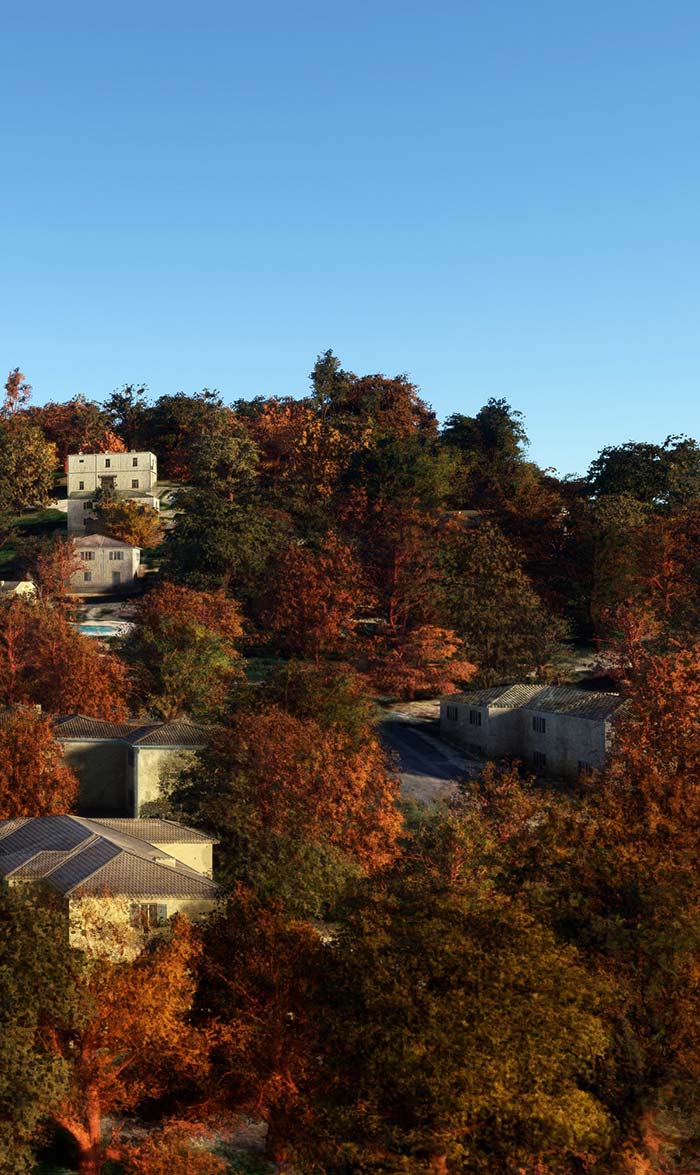 Tall tree selection.