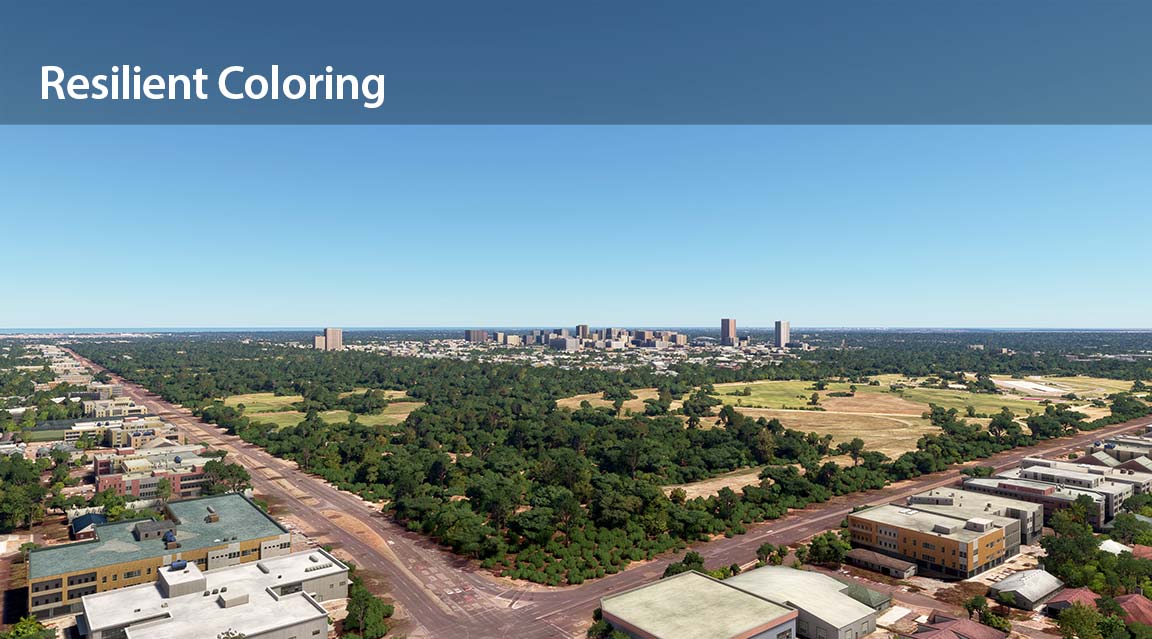Resilient vegetation coloring of a rural cityscape.