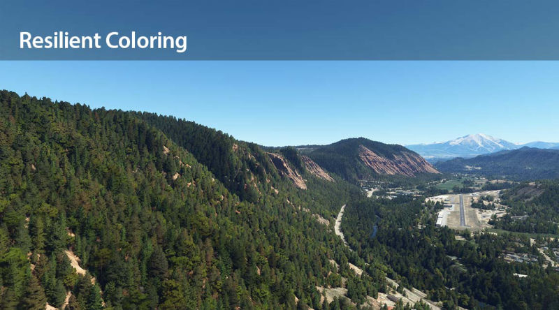 Resilient vegetation coloring of a mountainous area.